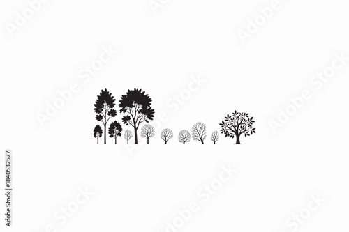 White Ash tree vector silhouettes black image.