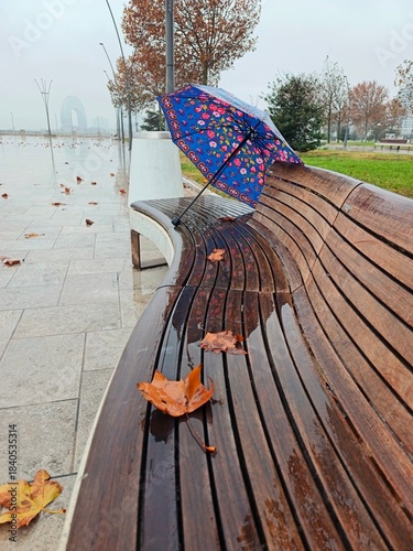 Rainy lonely park in autumn
