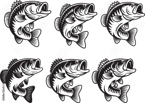 Six aggressive largemouth bass fish showing strong powerful bodies and open mouths ready to strike