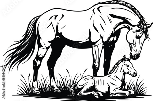 Beautiful Black and White Line Art Drawing of a Horse and Foal in a Field, Mother Horse Standing Guard Over Her Resting Newborn Colt, Flat Vector Illustration