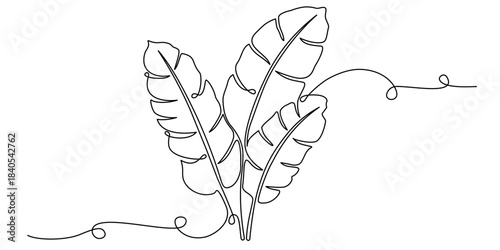 continuous banana leaf line