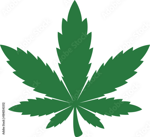 cannabis leaf vector illustration