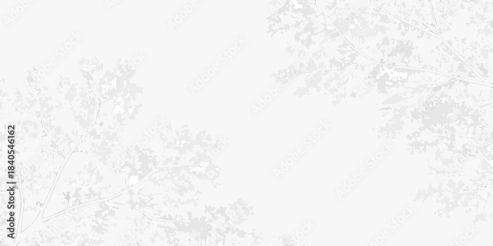 Fototapeta premium Delicate branches and sparse foliage create a minimalist ethereal white scene