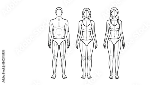 Anatomical figures in an auto cad drawing for character design study.