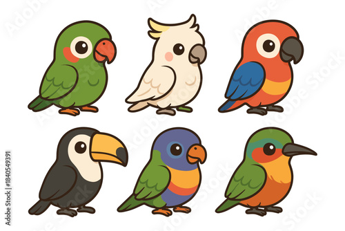 Charming cartoon birds collection featuring parrot, cockatoo, and more in cute style