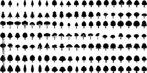 A dense pattern of black silhouetted trees against a white background