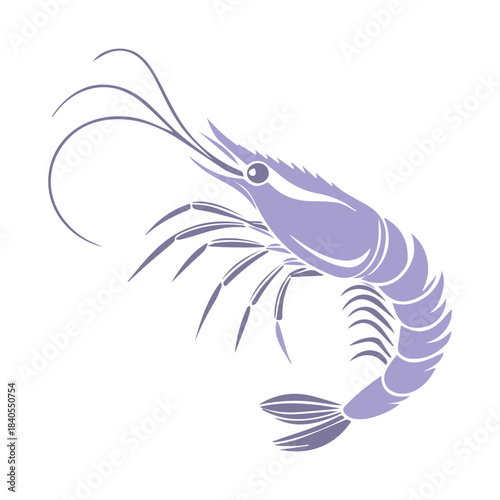 Shrimp Illustration icon