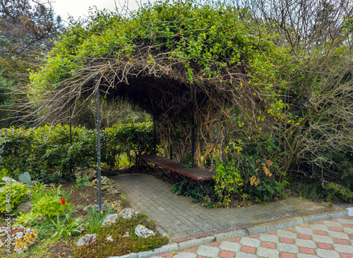 A bench hidden under a shrub-grown canopy