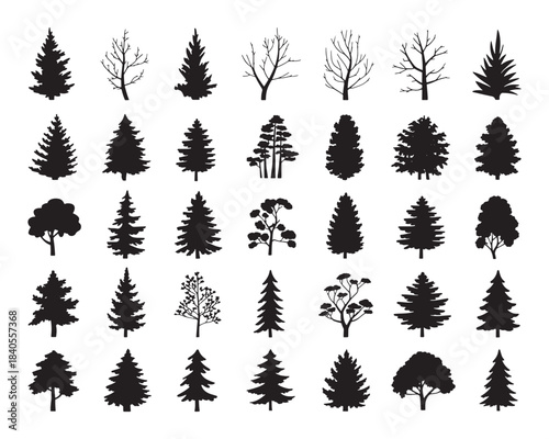 set of forest trees