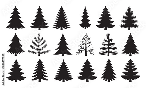 set of forest trees