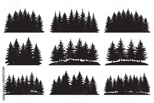 set of forest trees