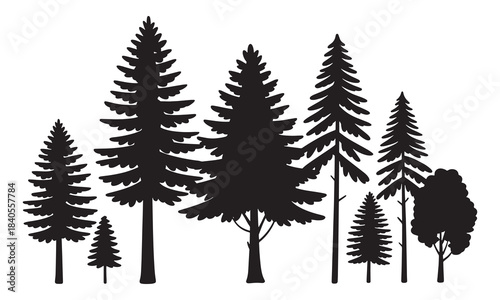 set of forest trees