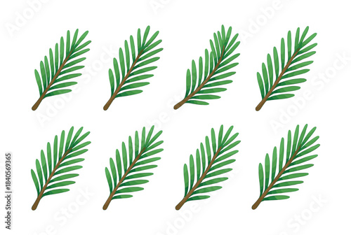 Pine branch collection, evergreen leaves, nature elements, flat vector illustration