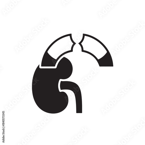 Kidney and ureter icon for medical and healthcare concepts, human organ symbol