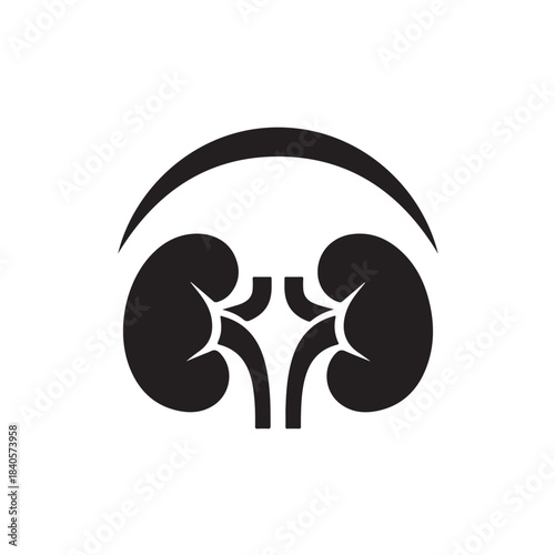 Kidney anatomy icon for medical and healthcare illustrations, organ symbol