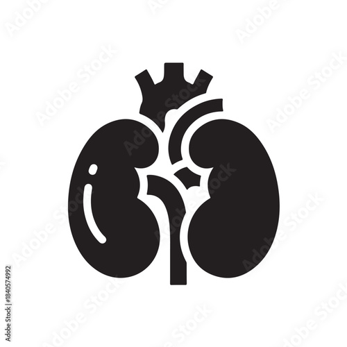 Human kidney organ icon with ureter and blood vessels, medical symbol