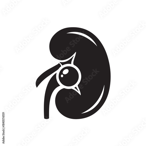 Kidney anatomy icon with ureter and blood vessels, medical symbol