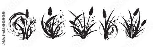 Stylized brushstroke plants with seed heads and artistic ink splatters create a natural, organic design element perfect for various creative projects.
