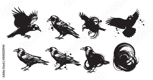 Black ravens and crows depicted in various dynamic poses, featuring a grunge and artistic ink splash style, creating a mysterious and powerful visual collection.