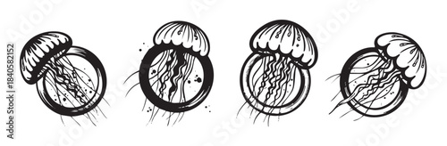 Four stylized black and white jellyfish illustrations featuring unique graphic designs and flowing tentacles, perfect for marine life and abstract art concepts.