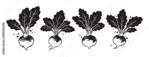 Four stylized radishes with leafy tops arranged in a row, depicting fresh organic produce in a rustic hand-drawn illustration style.