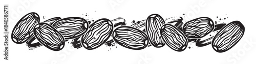 Dates fruit hand drawn illustration in a rustic woodcut style, depicting a delicious and healthy snack, perfect for Ramadan or Middle Eastern cuisine.