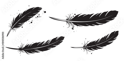 Four elegant black feathers with artistic ink splatters create a striking graphic illustration, perfect for design elements and creative projects.