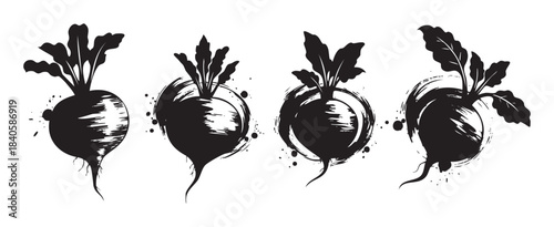 Beets and radishes are depicted in a stylized grunge brushstroke illustration, showcasing fresh organic root vegetables with vibrant leaves and artistic ink splatters.