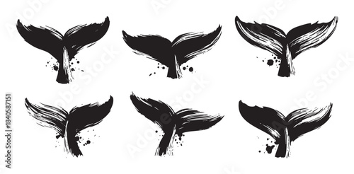 Six distinct whale tails rendered with expressive brush strokes and ink splatters, creating a dynamic collection of marine life illustrations.