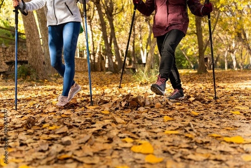 Female friends nordic walking in autumn forest
