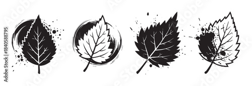 Four stylized black and white leaves with artistic brush strokes and ink splatters create a dynamic, modern botanical design element.