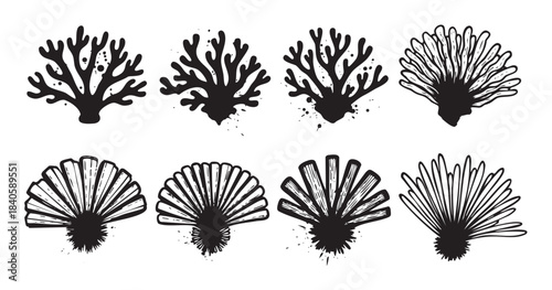 Marine life illustrations featuring various stylized corals and sea anemones with a hand-drawn, grunge ink splatter aesthetic, perfect for ocean-themed designs.
