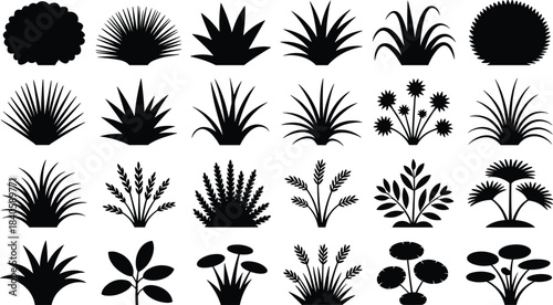Plant silhouette illustration set, diverse foliage and stem shapes, botanical grid of stylized vegetation, vector nature graphics