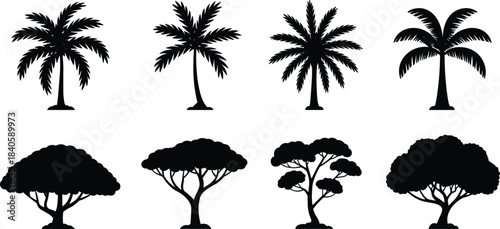 Silhouette tree collection, tropical palm trees, broadleaf forest trees, botanical illustration, nature elements, landscape design, black vector icons, isolated tree shapes