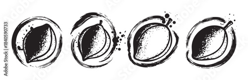 Apricot fruit illustrations in a stylized black and white brushstroke art style, featuring textured designs with ink splatters and grunge effects.