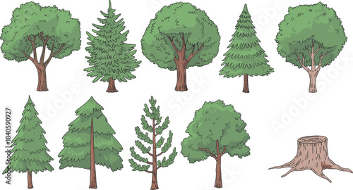 Tree and stump illustration set, diverse foliage and trunk styles, forest ecosystem vector, deforestation concept, educational botanical graphics