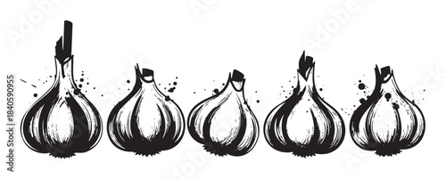 Garlic bulbs illustration featuring a row of stylized, hand-drawn garlic with a grunge ink splatter effect, perfect for culinary designs.