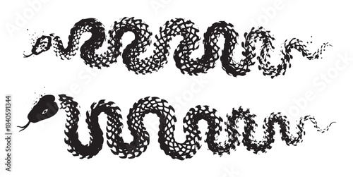 Two artistic snakes with a textured grunge style winding in a decorative and abstract illustration, showcasing a unique and dynamic design.