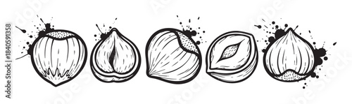 Hazelnuts in various forms are depicted in a rustic hand-drawn ink style with artistic splatters, showcasing their natural beauty and texture.