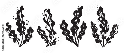 Stylized black brushstroke seaweed plants create an abstract underwater garden illustration with a grunge texture and artistic ink splatters.