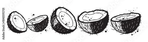 Multiple tropical coconuts cut in half are depicted in a stylized black and white hand-drawn illustration with a rustic, organic feel.