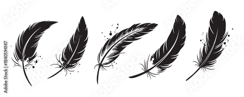 Five elegant black feathers are beautifully arranged in a stylized vector illustration, showcasing their delicate texture and artistic design.