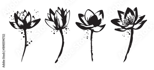 Four stylized black and white lotus flowers in a brushstroke art style, showcasing various stages of bloom with artistic ink splatters.