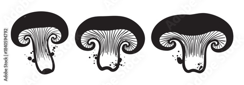 Three stylized black and white mushroom illustrations showcasing a unique artistic design with intricate gill patterns and subtle ink splatter details.