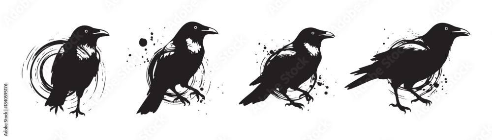 Obraz premium Four stylized raven bird illustrations showcase a grunge ink splatter and brush stroke aesthetic, perfect for modern graphic design projects.