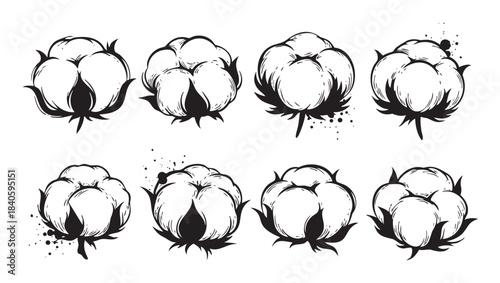 Eight hand-drawn cotton bolls illustrations presented in a charming black and white vintage sketch style with subtle ink splatters.