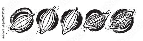 Cocoa pods illustration set with whole and cut open cacao fruits in a rustic, hand-drawn style, perfect for food and beverage designs.