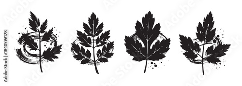 Four stylized black leaf silhouettes with artistic brushstroke elements and ink splatters create a modern, grunge-inspired botanical design.