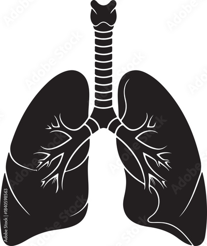 Human lungs black silhouette isolated on transparent background respiratory system internal organ