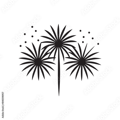 Fireworks Celebration Silhouette